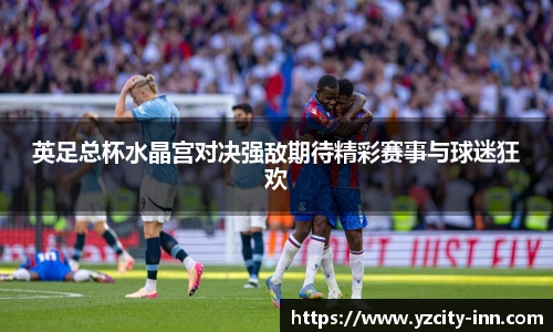 英足总杯水晶宫对决强敌期待精彩赛事与球迷狂欢