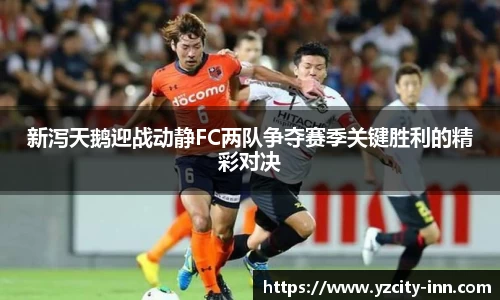 新泻天鹅迎战动静FC两队争夺赛季关键胜利的精彩对决